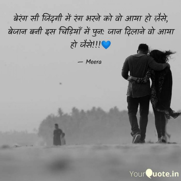 Hindi Shayri by Meera : 111605057