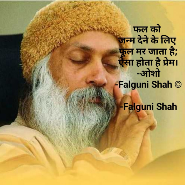 Hindi Motivational by Falguni Shah : 111605280