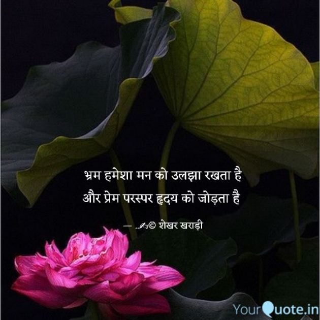 Hindi Quotes by shekhar kharadi Idriya : 111606044