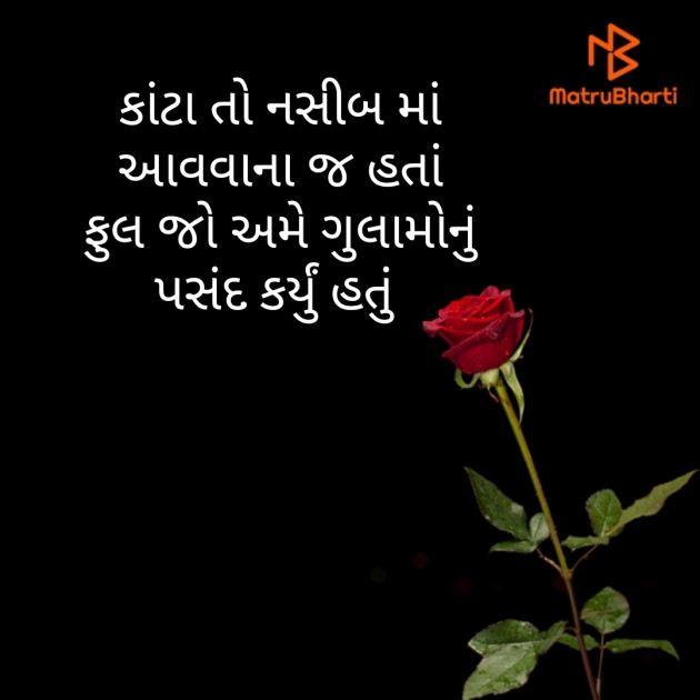 Gujarati Quotes by Jagdish Ghadiali : 111606418