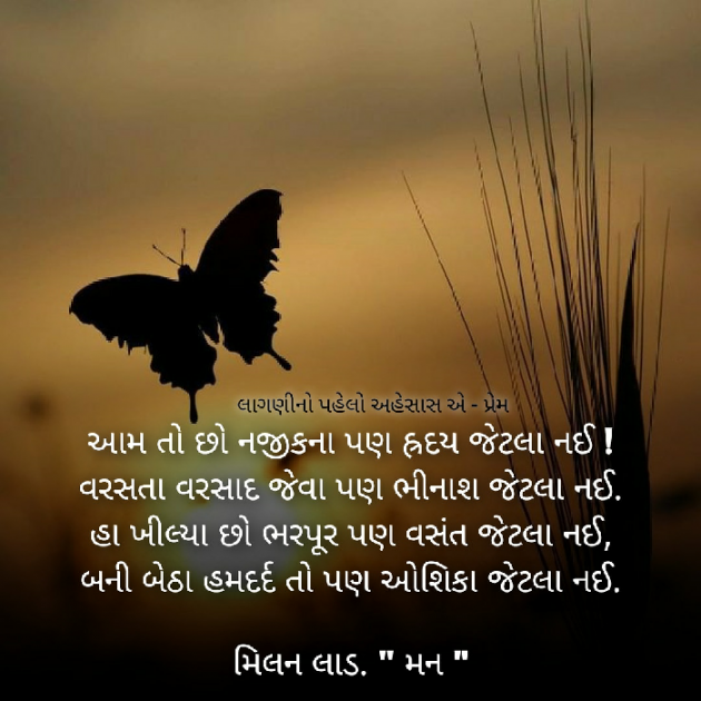 Gujarati Blog by Milan : 111606786