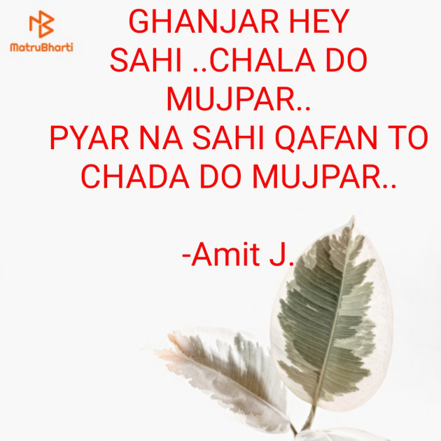 Hindi Shayri by Amit J. : 111606822