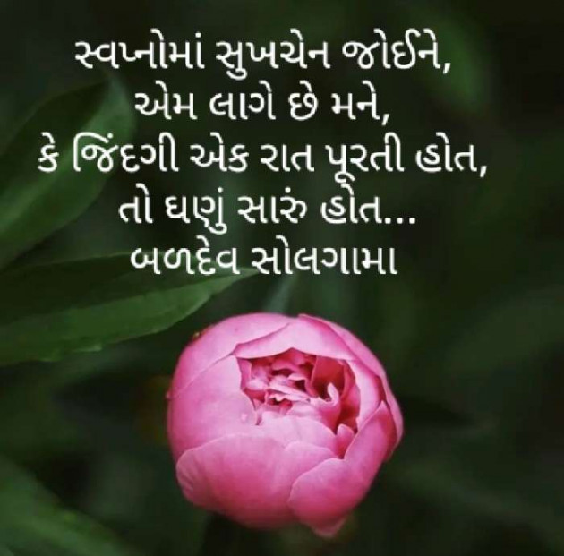 Gujarati Blog by Baldev Solgama : 111606940