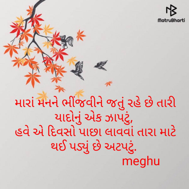 Gujarati Thought by Meghna Sanghvi : 111607215