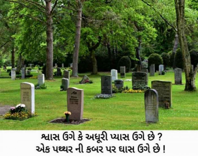 Gujarati Shayri by Balkrishna patel : 111607281