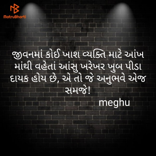 Gujarati Thought by Meghna Sanghvi : 111607377