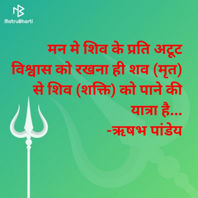 Hindi Blog by RISHABH PANDEY : 111607548