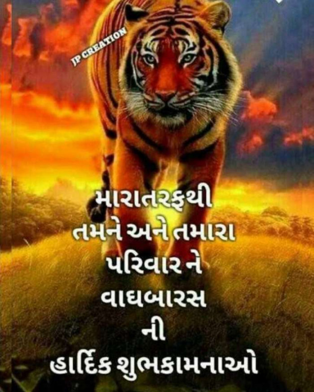 Gujarati Good Morning by Parmar Narvirsinh : 111607857