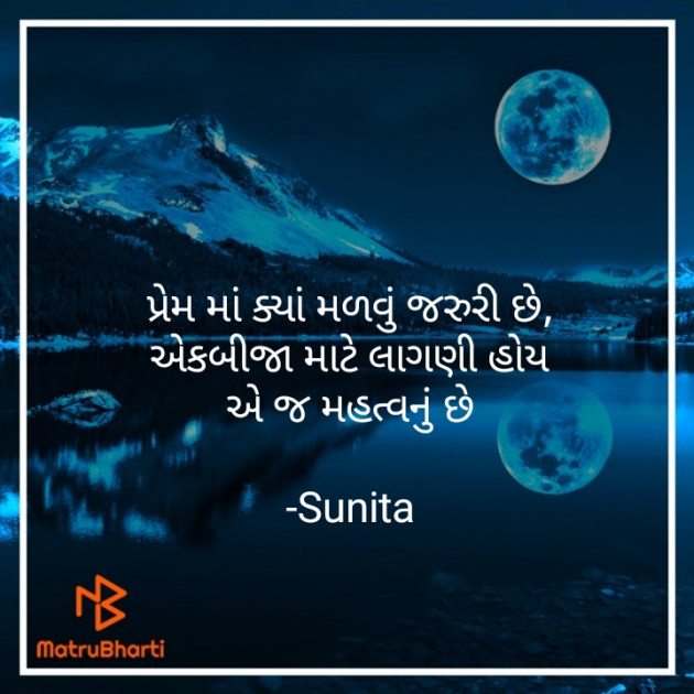 Gujarati Blog by Sunita Bariya : 111611041