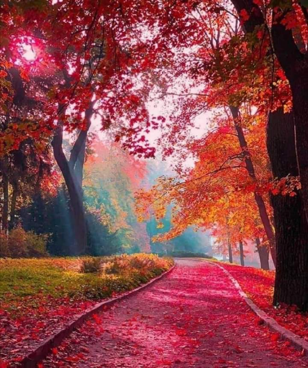 Hindi Thought by Anil Mistry https://www.youtube.com/c/BHRAMGYAN : 111611339