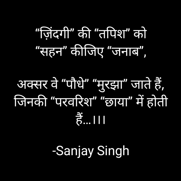 Hindi Whatsapp-Status by Sanjay Singh : 111611804