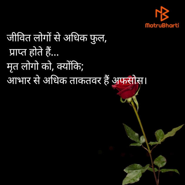 Hindi Thought by Krishna Timbadiya : 111612958