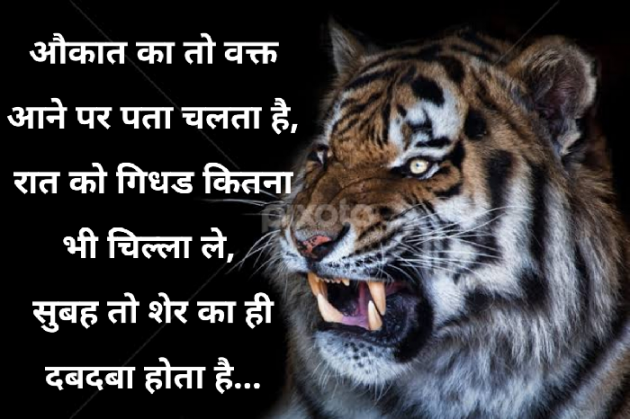 Gujarati Quotes by Abhishek Dafda : 111613158