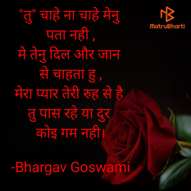 Hindi Blog by Bhargav Goswami : 111613357