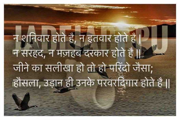 English Shayri by Bhagirathsinh Jadeja : 111613462