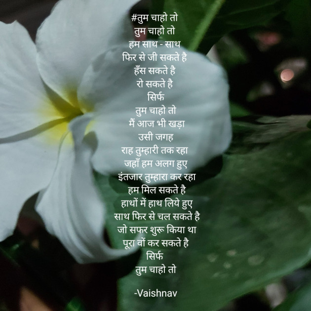 Hindi Poem by Vaishnav : 111613665