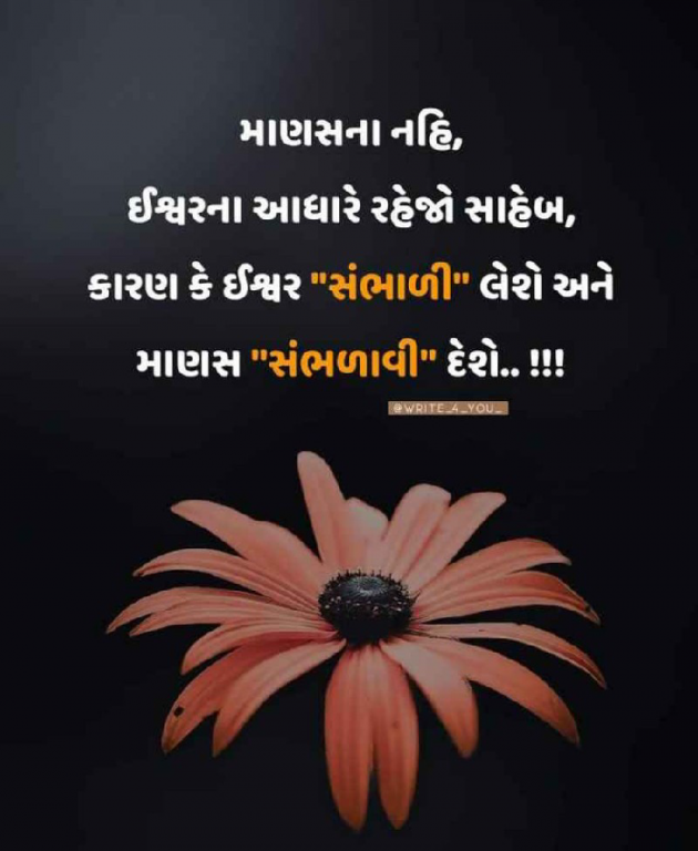 Gujarati Whatsapp-Status by Vyas Kinju : 111614302