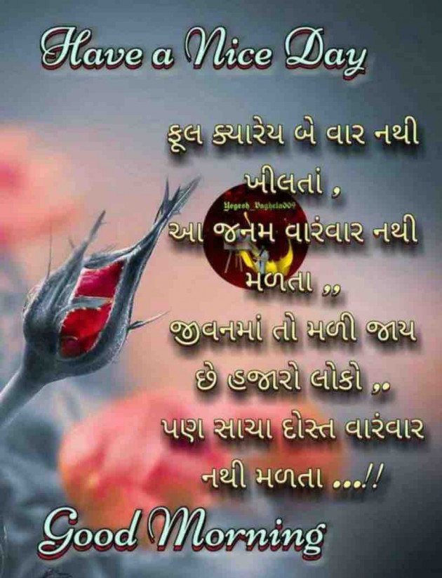 Gujarati Quotes by M shah : 111617165