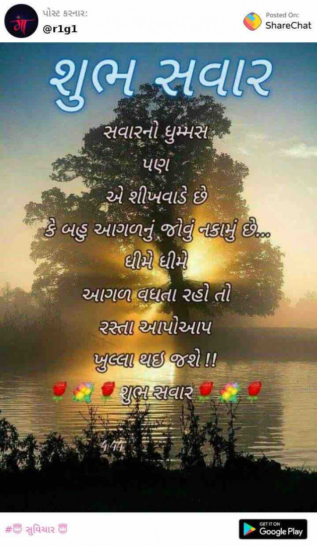 Gujarati Quotes by M shah : 111617232