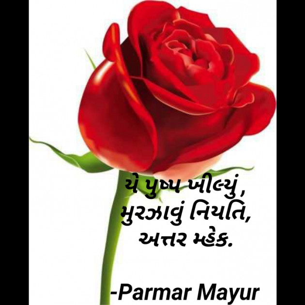 Gujarati Hiku by Parmar Mayur : 111617282