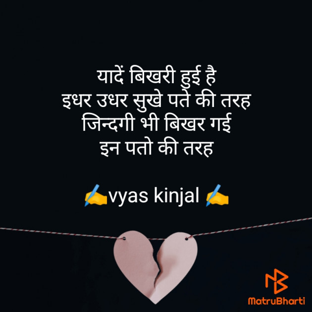 Hindi Blog by Vyas Kinju : 111617419