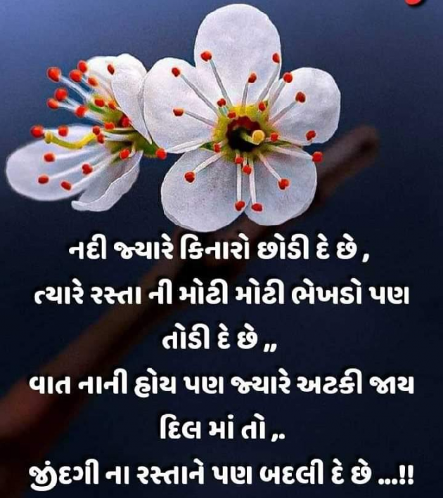 Gujarati Quotes by Abhishek Dafda : 111618980