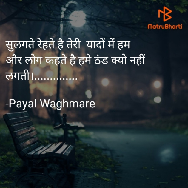 Hindi Shayri by Payal Waghmare : 111620856