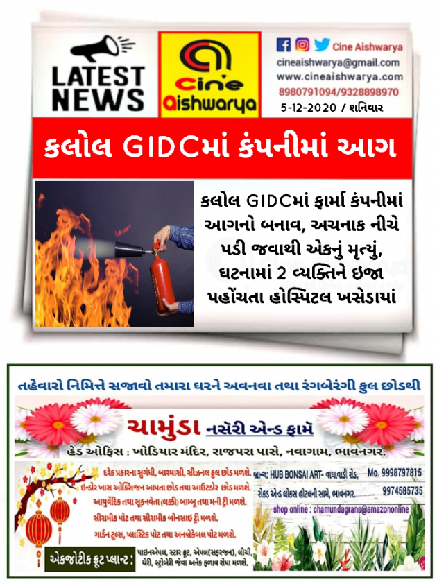 Gujarati News by Ajay Khatri : 111621250