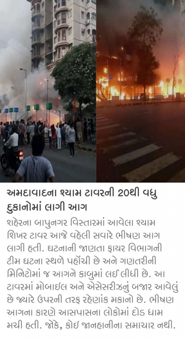 Gujarati News by Harshad Patel : 111621698