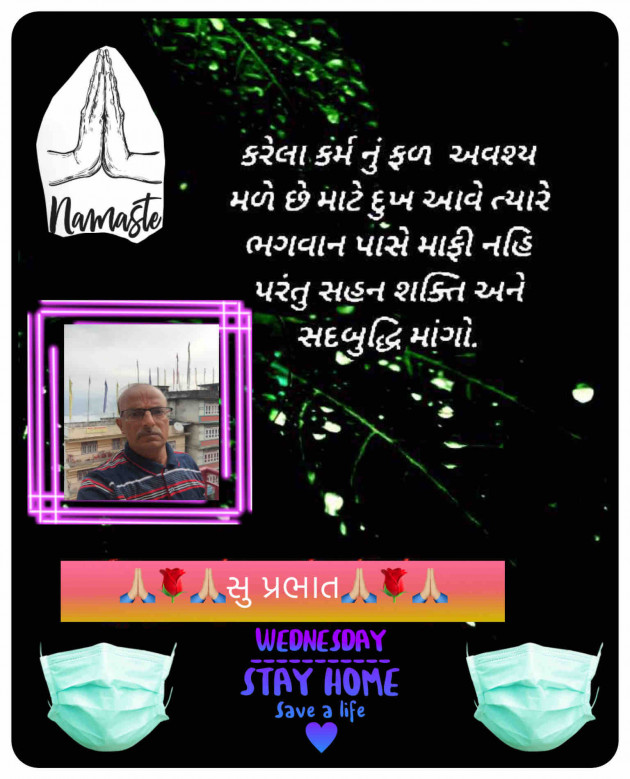 Gujarati Quotes by DIPAK CHITNIS. DMC : 111622406