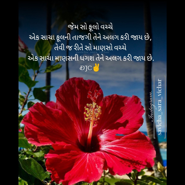 Gujarati Motivational by DJC : 111622724