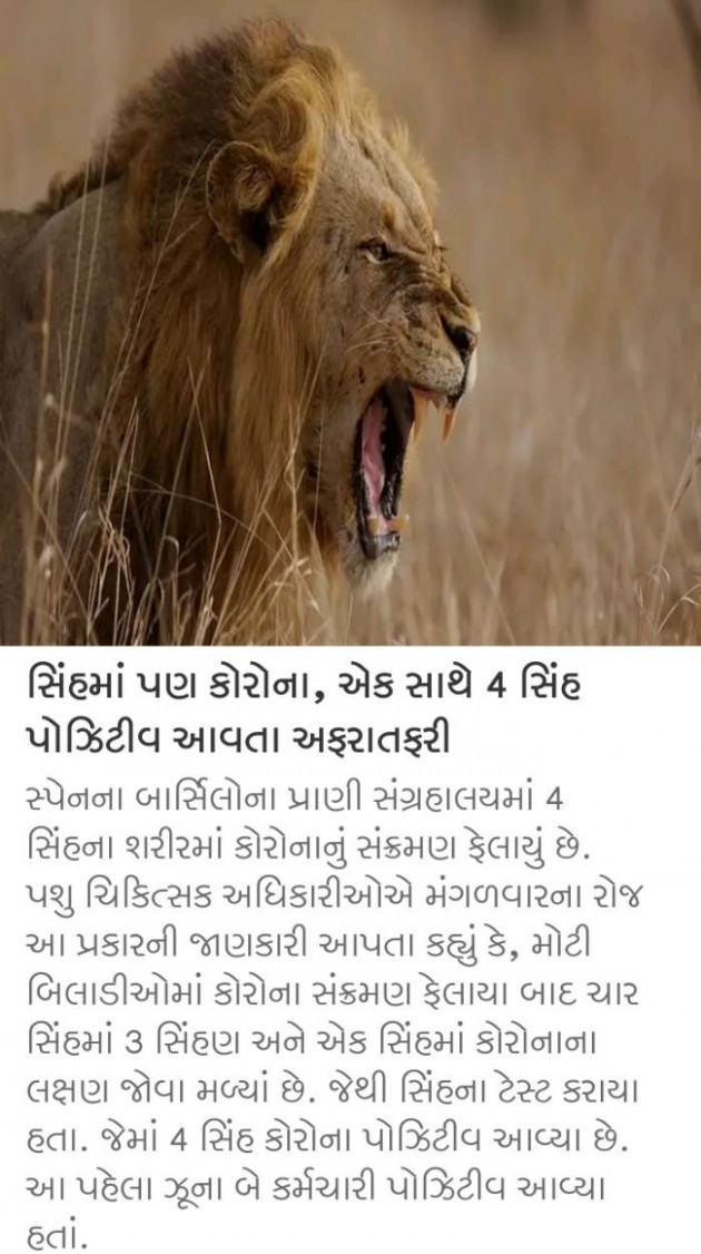 Gujarati News by Harshad Patel : 111623417