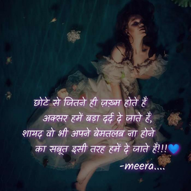 Hindi Shayri by Meera : 111624114