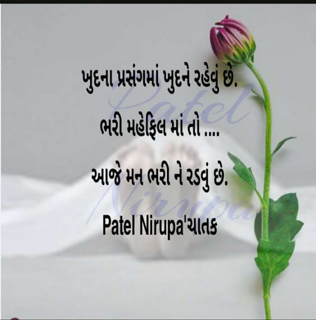 English Blog by Patel Nirupa ચાતક : 111624596