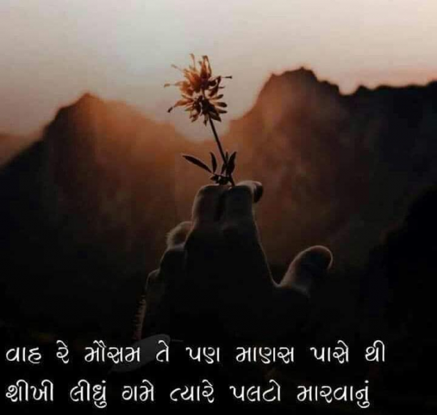 Gujarati Microfiction by Lalit Parmar lalitparmar : 111625244