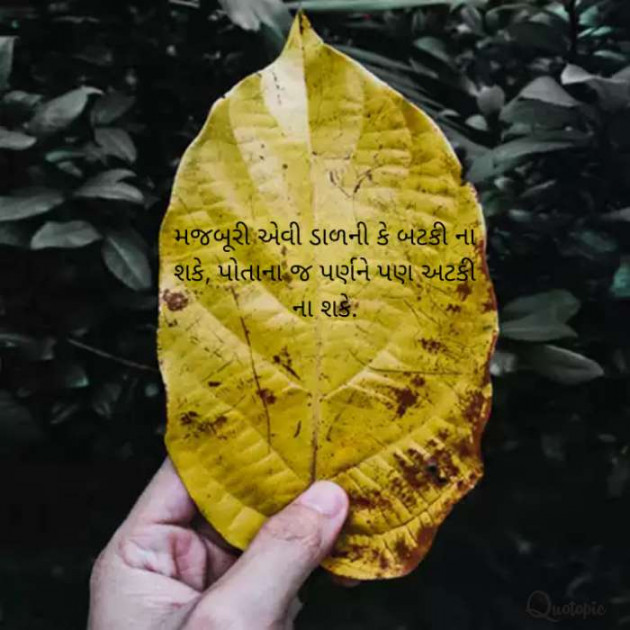 Gujarati Quotes by Pinal : 111625507