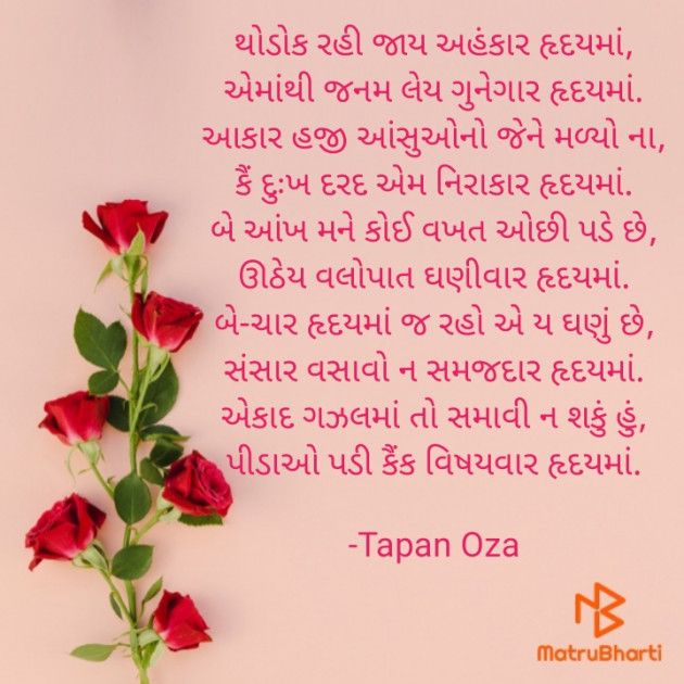 Gujarati Blog by Tapan Oza : 111627333