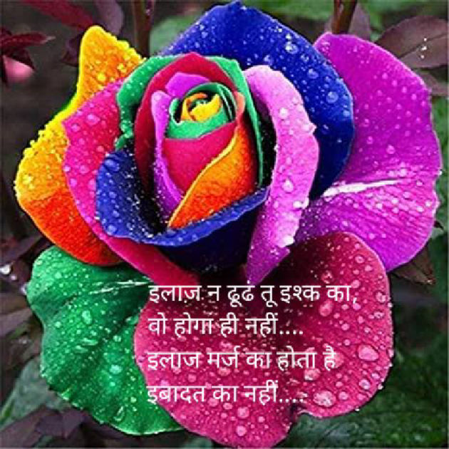 Gujarati Quotes by Sonalpatadia darpan : 111627770