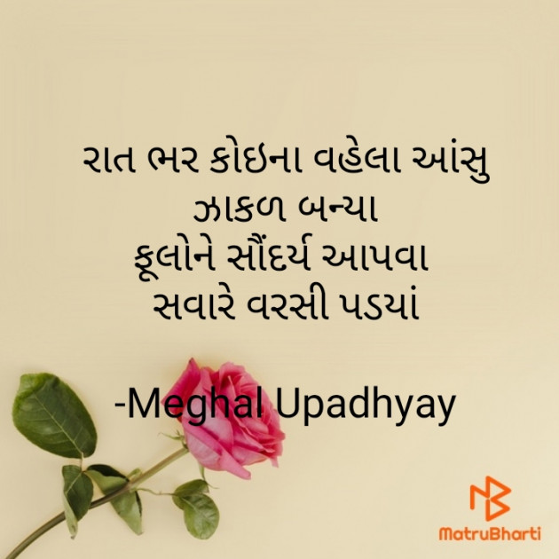 Gujarati Shayri by Meghal Upadhyay : 111628289