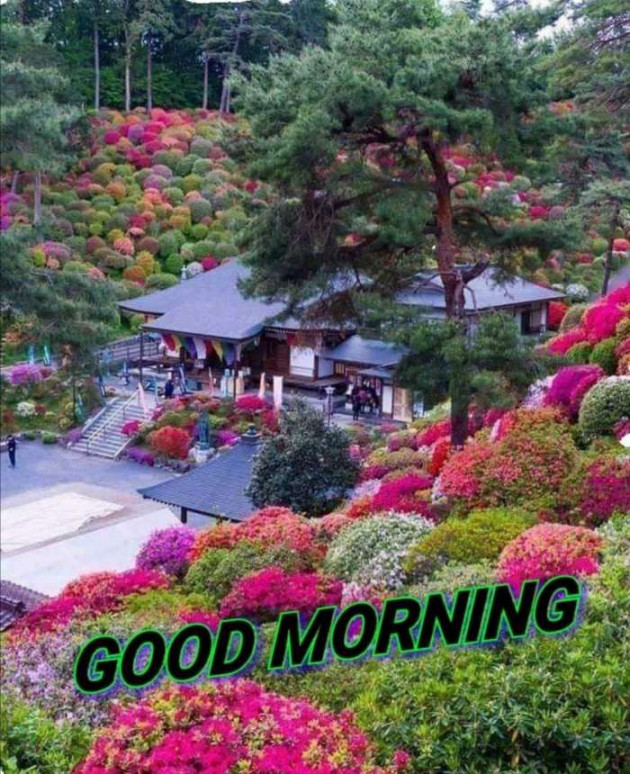 English Good Morning by Manan : 111629879