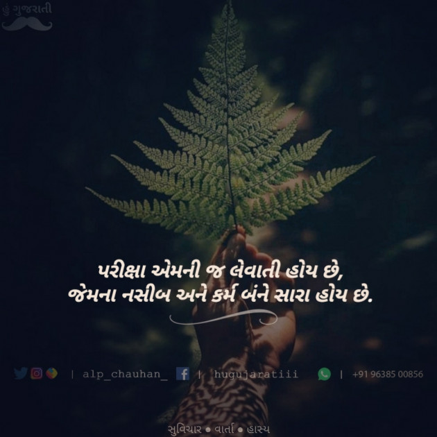 Gujarati Whatsapp-Status by Alp Chauhan : 111629979