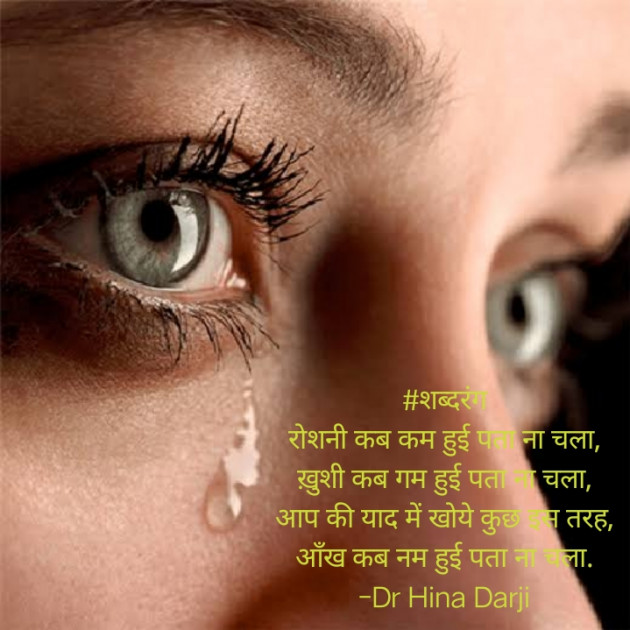 Hindi Shayri by Dr Hina Darji : 111630599