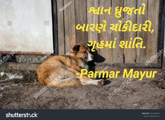 Gujarati Hiku by Parmar Mayur : 111631481