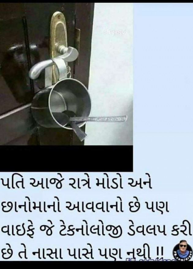 Gujarati Funny by Parmar Narvirsinh : 111631919