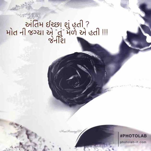English Shayri by Gandhi Jenish : 111632464