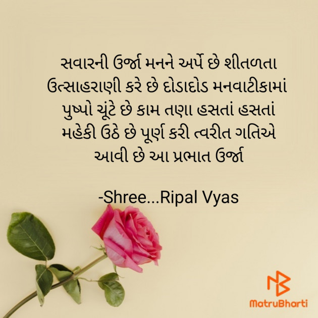 Gujarati Quotes by Shree...Ripal Vyas : 111632507