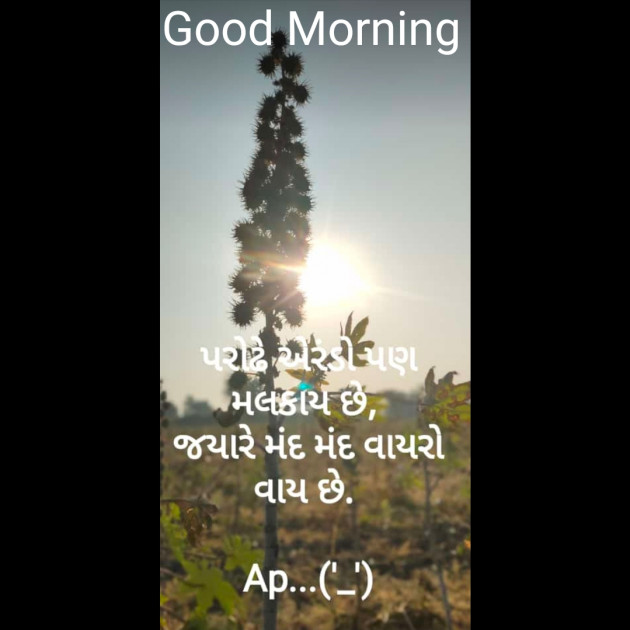 English Good Morning by Ankit Parmar : 111632883