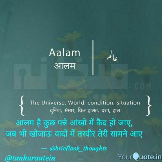 English Shayri by brieflook_thoughts : 111632994