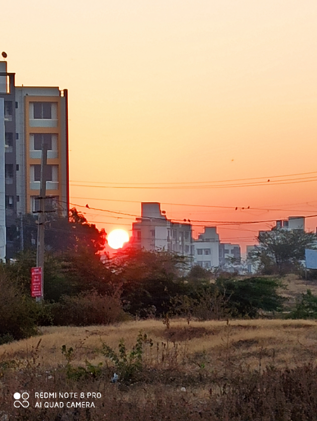 Gujarati Good Evening by kruti raval : 111633230