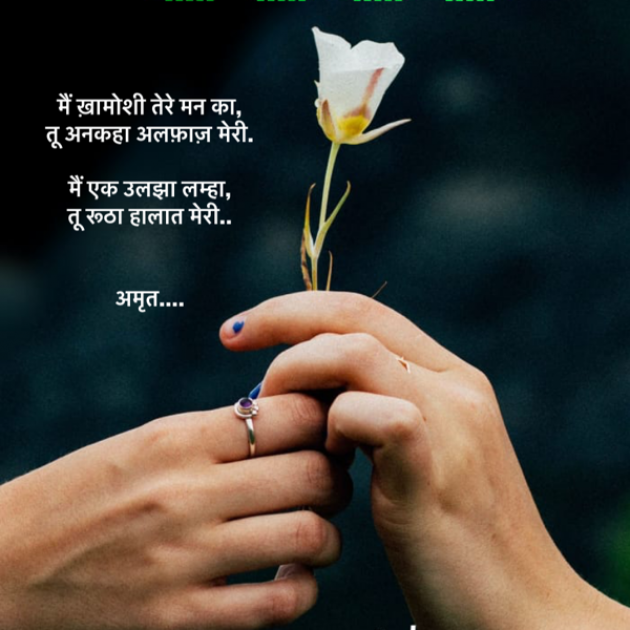 Hindi Book-Review by Amrut : 111633753